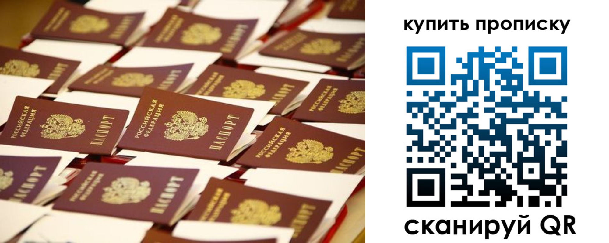 временная регистрация в Кингисеппе